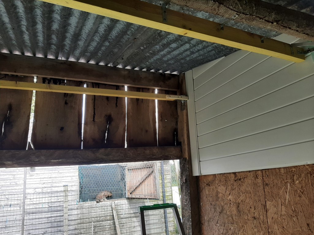 25-RoofSupport6.jpg
